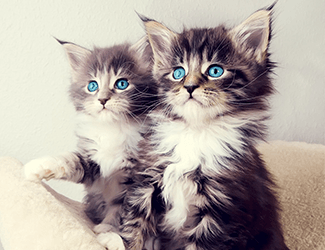 精密鈑金加工的難點