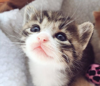 永川醫療精密鈑金加工廠