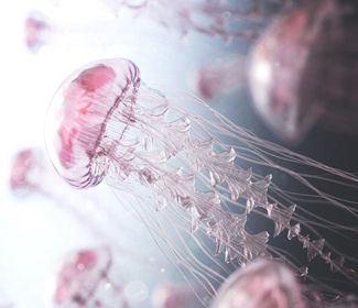 成都重慶地區十大鈑金人物活動方案